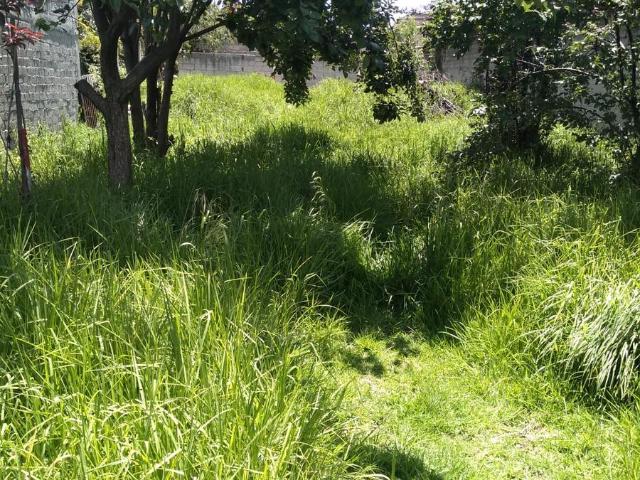 VENTA DE LOTE DE TERRENO EN SANTA ANA TLAPALTITLAN EN TOLUCA A DOS CUADRAS DE PASEO TOLLOCAN