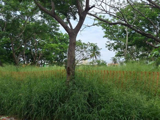 Venta de lote de terreno No. 19 en Fracc. Floresta Veracruz, Casi esq. Miguel Alem?n