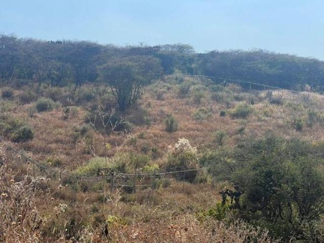 VENTA DE LOTE EL NABO QUERÉTARO