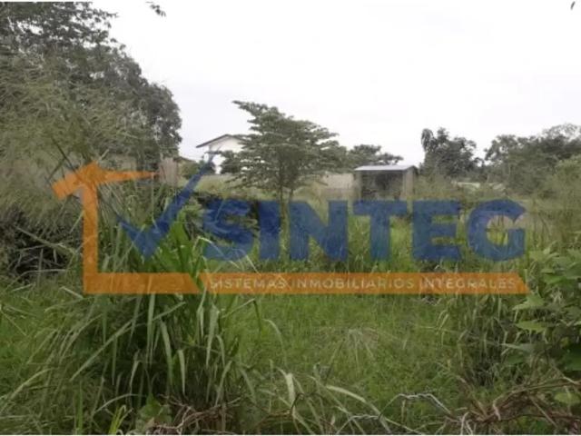 VENTA DE LOTES 106.75 MT COL. MIGUEL ALEMAN, TUXPAN