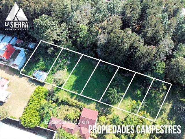 Venta de lotes en Col. La Rivera en Xicotepec