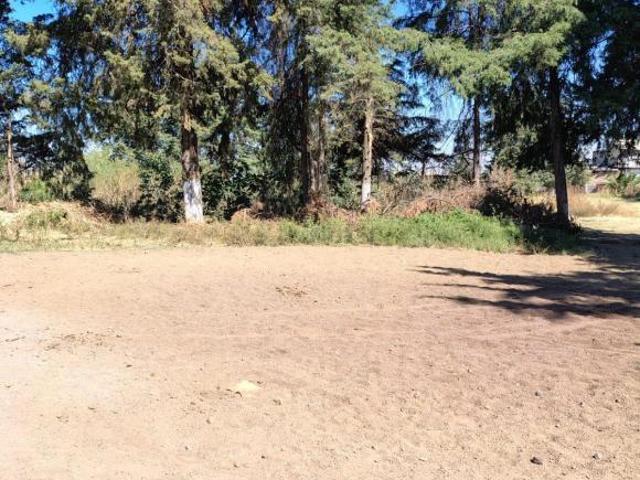 VENTA DE LOTES EN MENSUALIDADES NATIVITAS XOCHIMILCO
