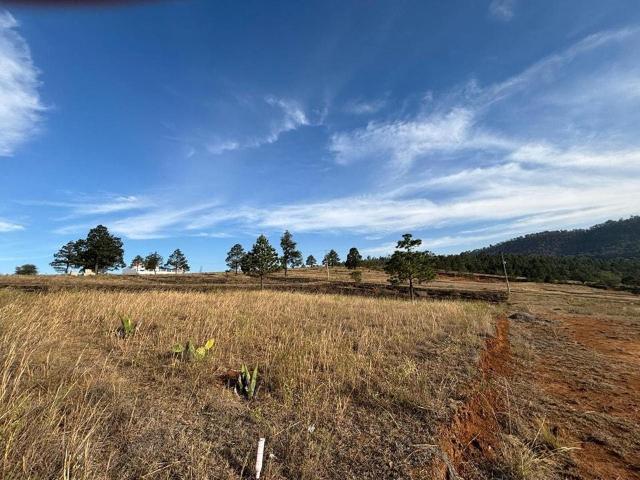 VENTA DE LOTES EN PUEBLA