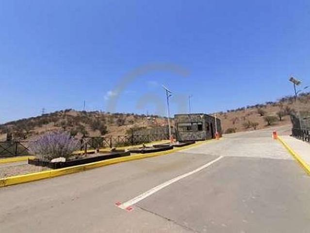 Venta de parcela Camino Pie Andino Chicureo