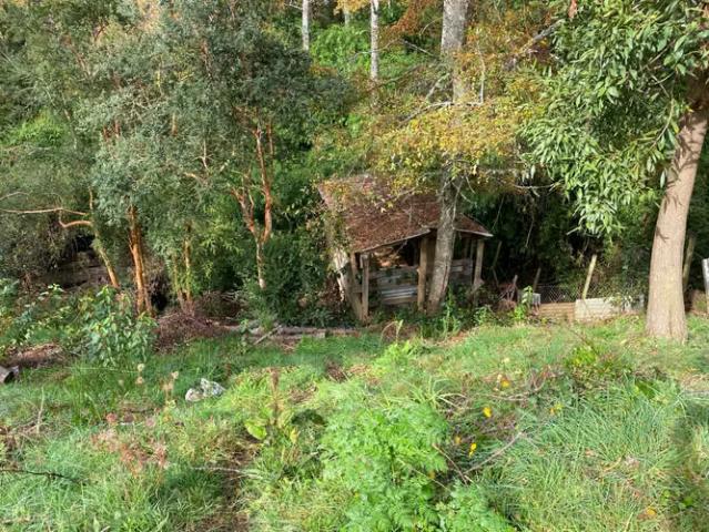 Venta de Parcela con Casa en Pufudi a 30 min de Valdivia | 5 dormitorios por 95000. 00 en Valdivia