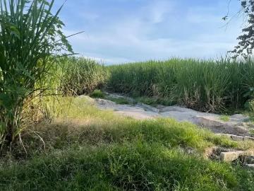 Venta de parcela de riego excelente ubicacion en Galeana