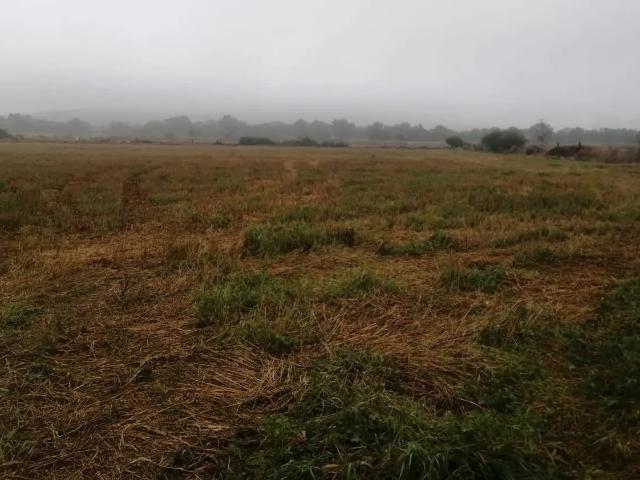Venta de Parcela de Riego en Atotonilco de Tula, Hidalgo cerca de Planta Cementera