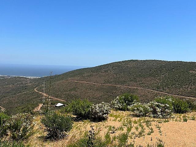 VENTA DE PARCELA EN HUAQUEN, CERCA A PLAYA PICHICUY,LA LIGUA