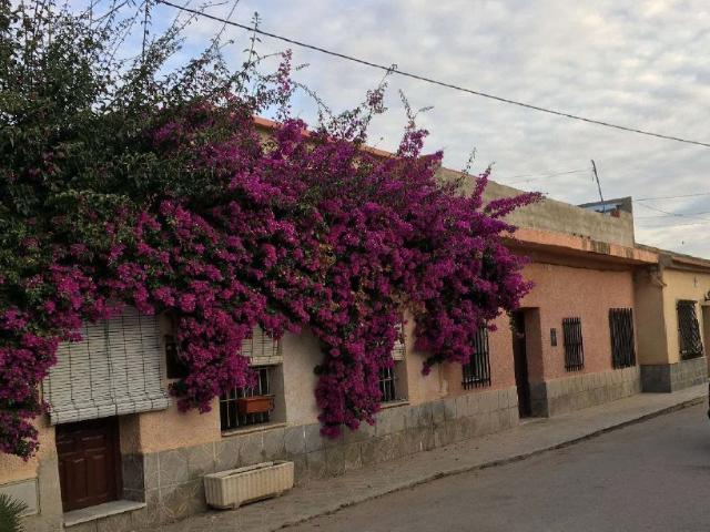 Venta de Piso en Calle San Andres Nº 19 Murcia Murcia