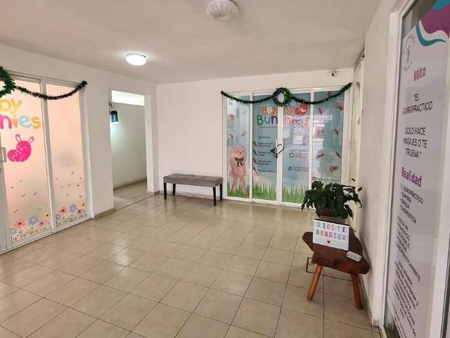 VENTA DE PLAZA COMERCIAL EN LA COLONIA L?ZARO C?RDENAS EN METEPEC