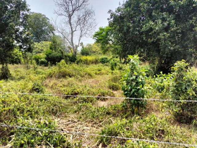 Venta de Predio Rústico en Saloya, Sector San Miguel Inversión Ideal para Tu Proyecto!