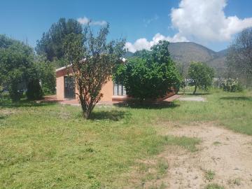 VENTA DE QUINTA EN JAME, ARTEAGA COAHUILA