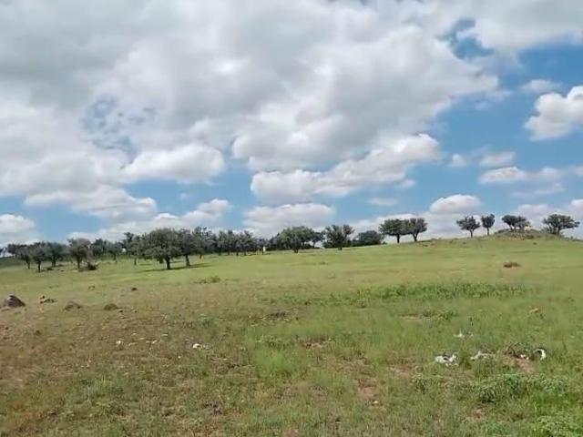 VENTA DE RANCHO AGRICOLA GANADERO EN CUSIHUIRIACHI, A HR Y MEDIA DE CHIHUAHUA CAPITAL