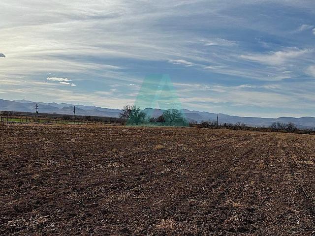 Venta de Rancho Agricola en Mpio. El Sauz, Fergon