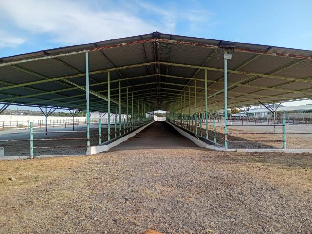 VENTA DE RANCHO GANADERO EN AXAPUSCO,ESTADO DE MEXICO