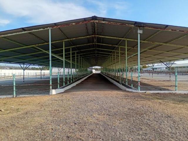 VENTA DE RANCHO GANADERO EN AXAPUSCO,ESTADO DE MEXICO