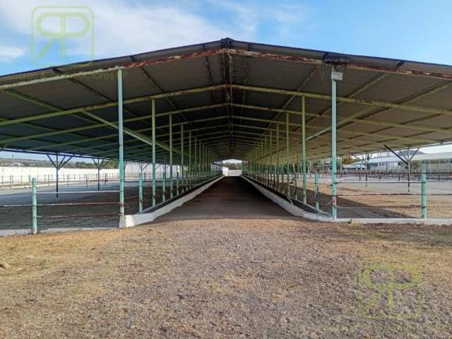 VENTA DE RANCHO GANADERO EN AXAPUSCO,ESTADO DE MEXICO