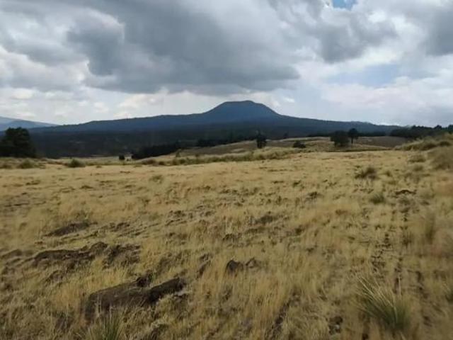 Venta de Rancho de 10 Hectáreas en el Ajusco, Tlalpan, Ciudad de México