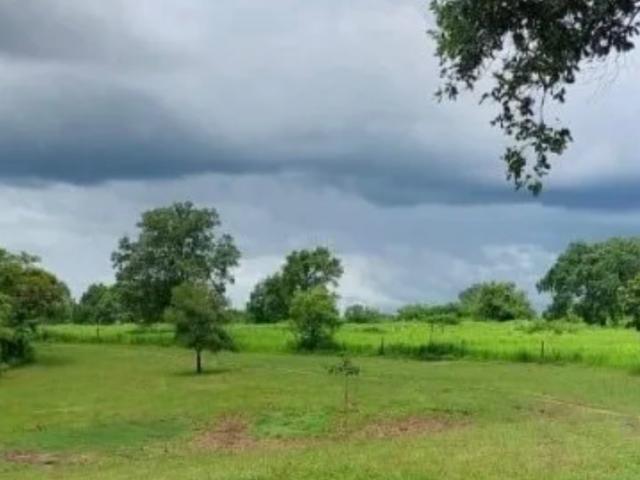 Venta de Rancho de 400ha, en Acayucan, Centro, en Acayucan, Ver
