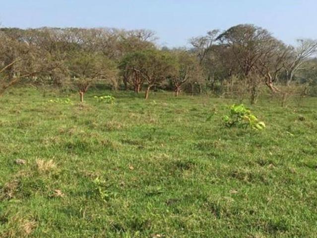 VENTA DE RANCHO DE 8 HECTÁREAS EN MISANTLA