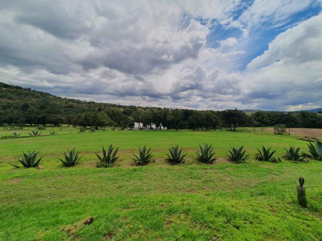 Venta de Rancho en Tlaxco, Tlaxcala