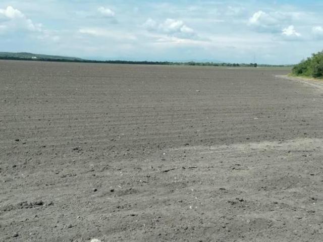 VENTA DE RANCHO PARA CULTIVO EN LA MORITA TAMAULIPAS