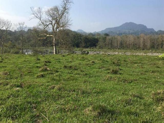 Venta de rancho ubicado en Plan de la Vega