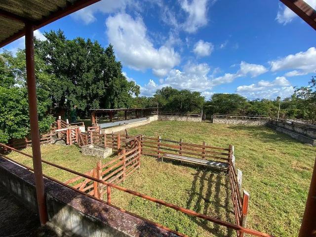 VENTA DE RANCHO UBICADO EN SUMA, YUCATAN