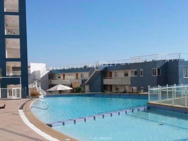 Venta Departamento Concón Las Pimpinelas