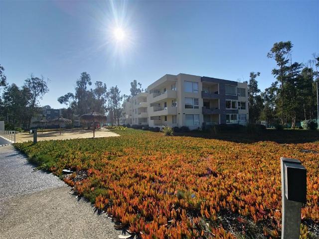 Venta Departamento Algarrobo Av. santa teresa de los andes / jardines de la candelaria / amoblado