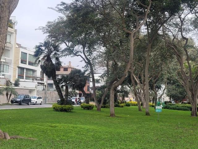 VENTA DEPARTAMENTO EN SAN BORJA DPT SS02 609 957 9