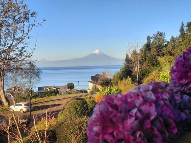 Venta departamento frutillar sensacional departamento en pleno corazón de frutillar bajo