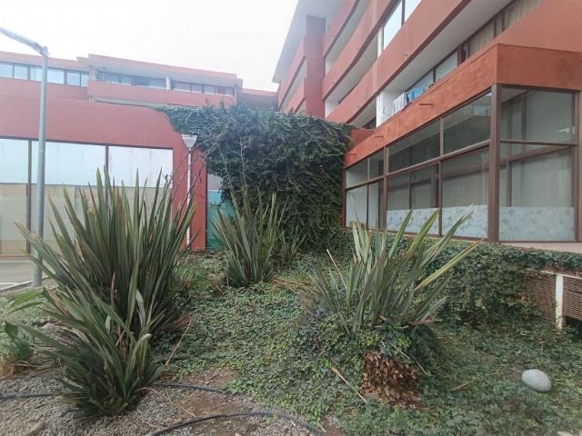 Venta Departamento La serena Encantador departamento remodelado en el centro de la serena 2d1b1e1b