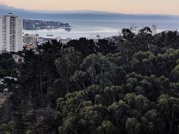 Venta Departamento Valparaíso Cerca ibsen