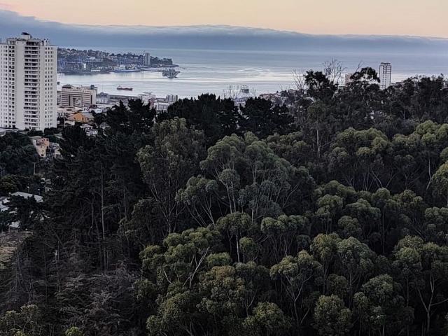 Venta Departamento Valparaíso Cerca ibsen
