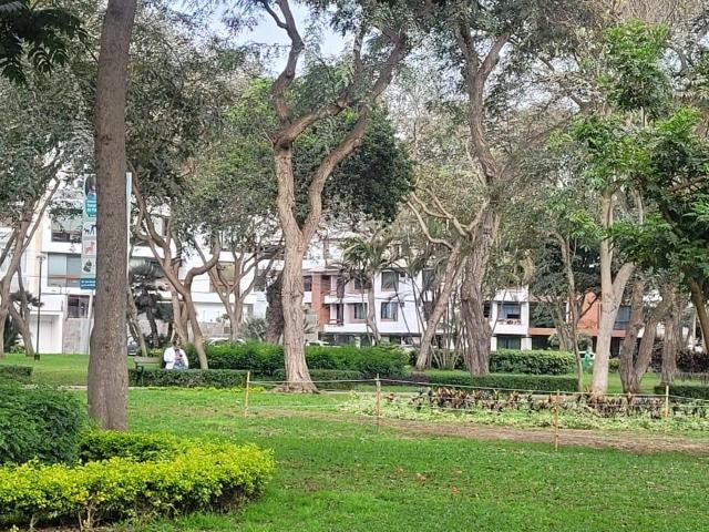 VENTA DUPLEX EN SAN BORJA DPT 502 609 957 17