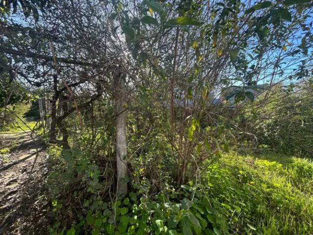 Venta excelente oportunidad terreno en Belloto | 3 dormitorios por 170000. 00 en Quilpué