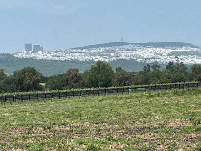 VENTA TERRENO DE DONDE ESTA EL FUTURO,EL MARQUES,50 HECTAREAS,PRECIO POR HA $3,500,000