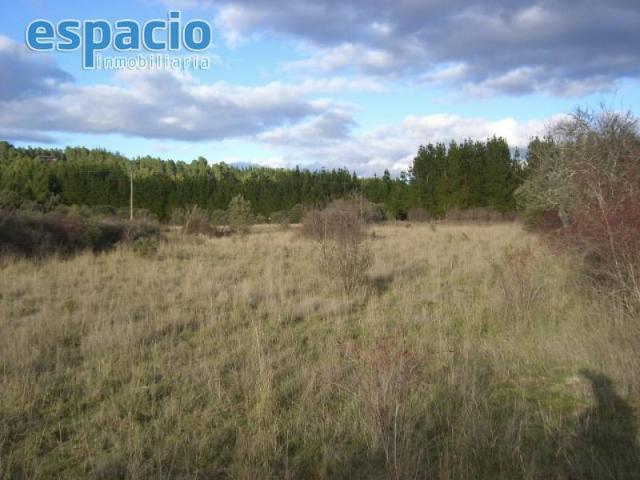 VENTA FINCA CUETO