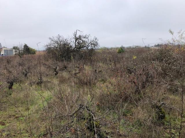 VENTA FINCA RUSTICA EN CACABELOS