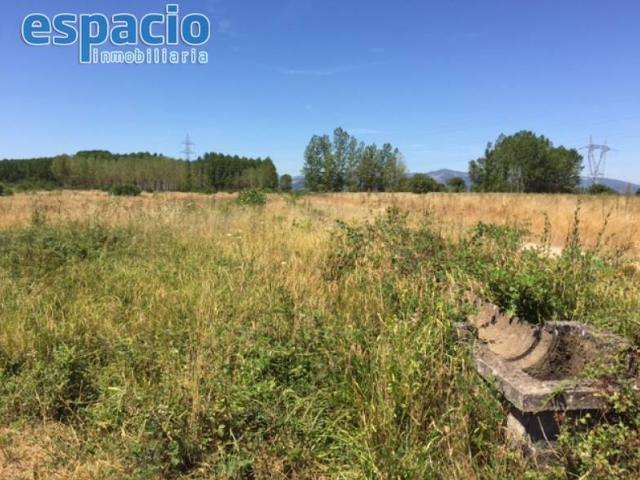 VENTA FINCA RUSTICA EN DEHESAS