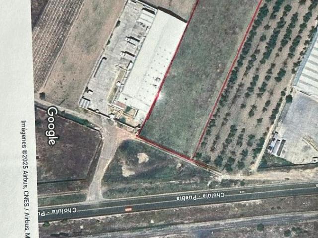 VENTA HECTAREA CARRETERA CHOLULA PUEBLA