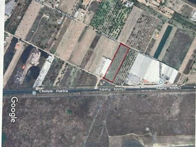 VENTA HECTAREA CARRETERA CHOLULA PUEBLA