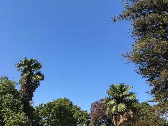 Venta Hermosa casa Limache 79737 | 4 dormitorios por 12500.00 en Valparaíso