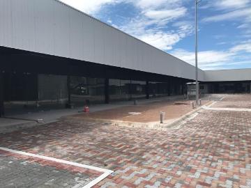 VENTA Local Comercial en Planta Baja ya Rentado ?
