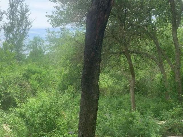 Venta Lote de Terreno Campestre en Fraccionamiento Bosques de La Silla en Juárez N L