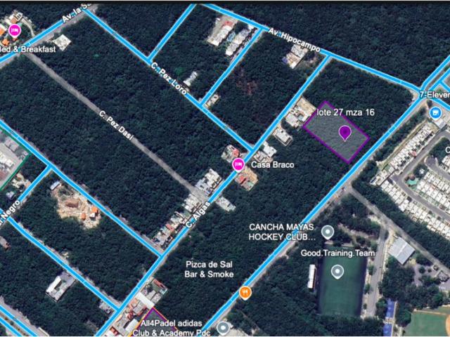 Venta Lote 4,763.05 mixto comercia sobre Avenida Paseo del Mayab
