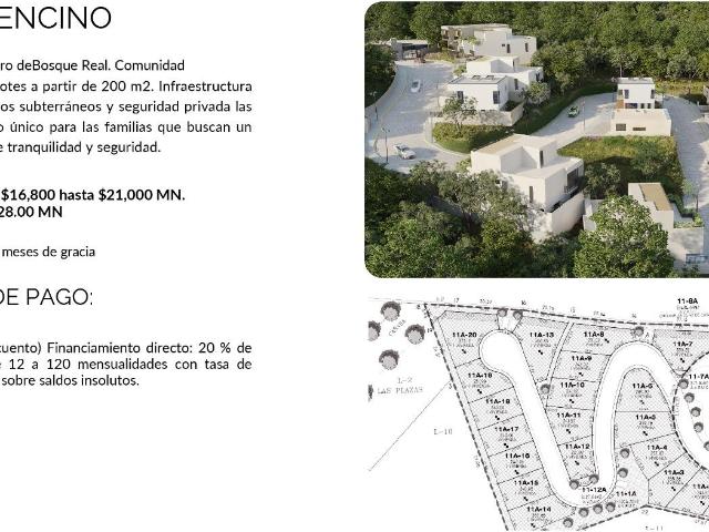 VENTA LOTES BOSQUE REAL