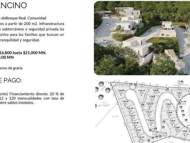 VENTA LOTES BOSQUE REAL