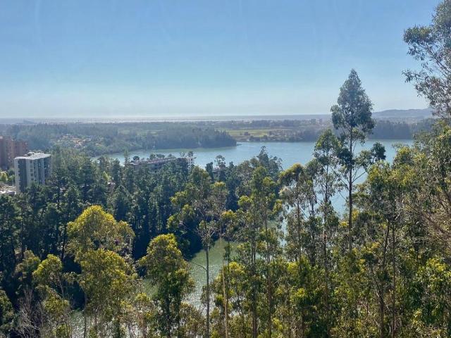 VENTA DEPARTAMENTO EN COND BUENA VISTA ANDALUE